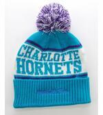 Шапка «Charlotte Hornets» | EU105-CHAHOR